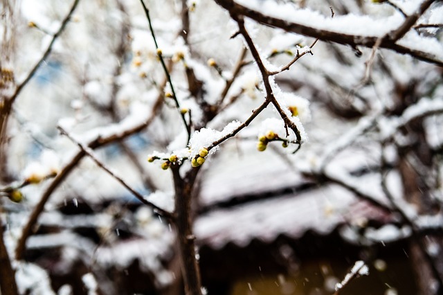 年以来