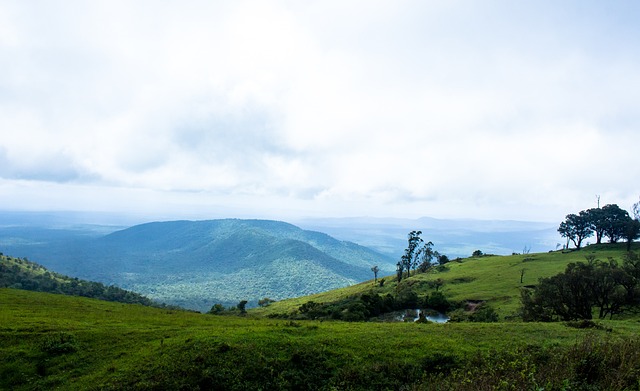 从赛场冲突 从赛场冲突