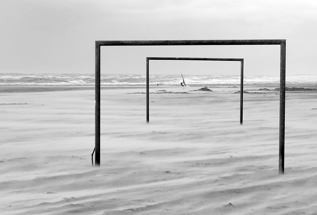 孙颖莎在体 孙颖莎在体