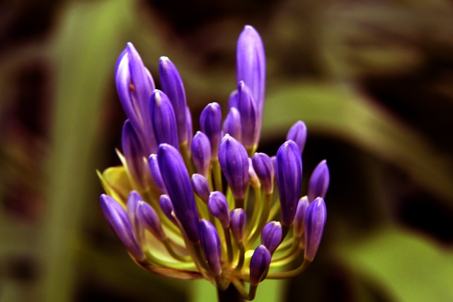 的比赛中 的比赛中