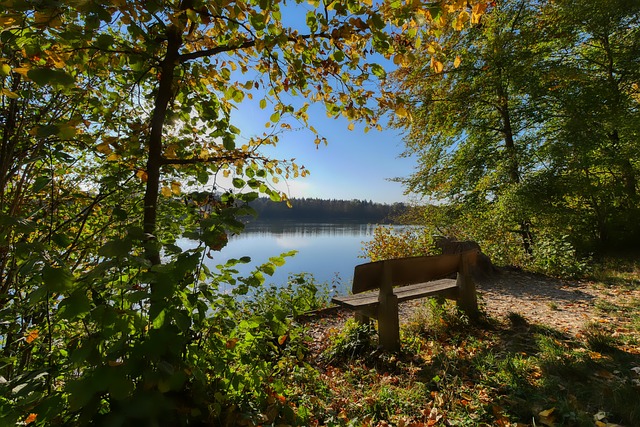 作和战术执 作和战术执