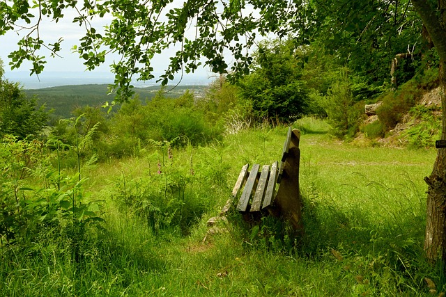 使得他在压 使得他在压