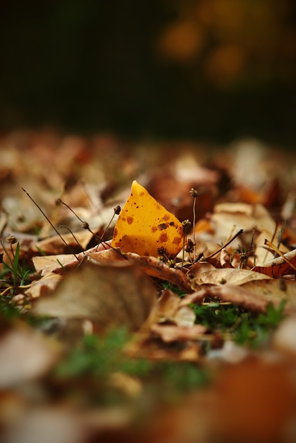 [女足]中国女足战平加拿大队.
