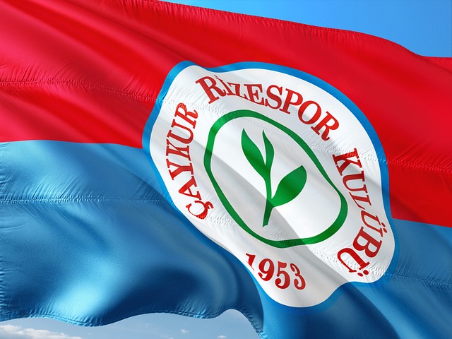 旅游度假区 旅游度假区