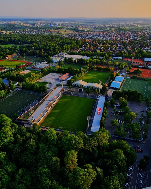 有一种活力 有一种活力